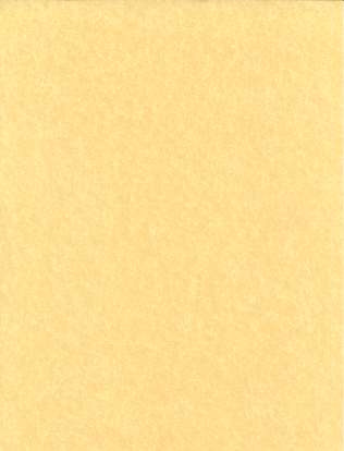 Parchment